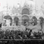 Elderly Women Cats Venice